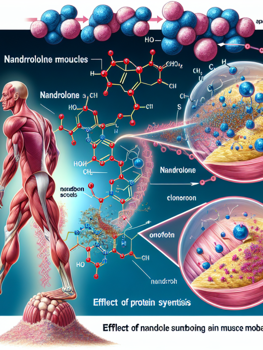Nandrolone and muscle protein metabolism
