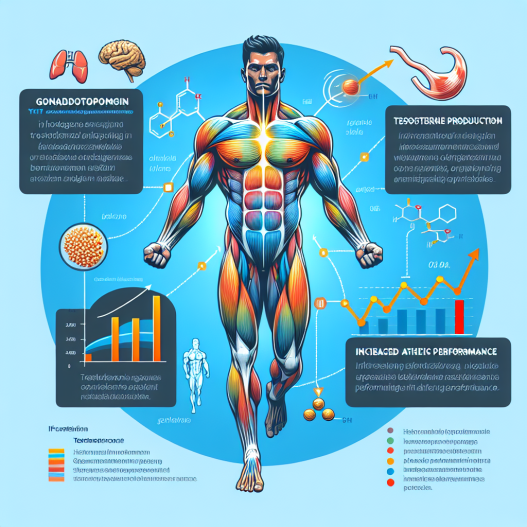 Gonadotropin: effects on testosterone production and athletic performance