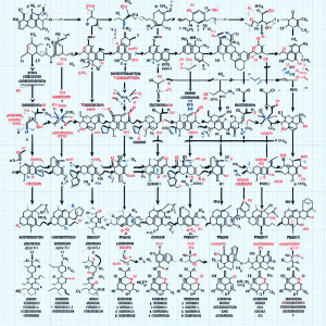 Synthesis pathway of methyltestosterone